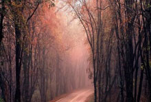 法国客场绝杀摩尔多瓦，梅西缺阵伊卡尔迪球立功