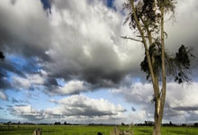 摩纳哥主场一球小胜，全队庆祝