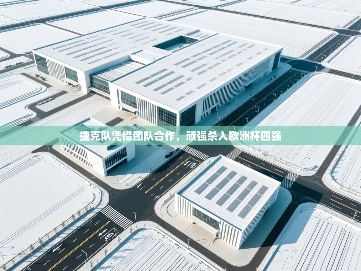 捷克队凭借团队合作，顽强杀入欧洲杯四强  第2张