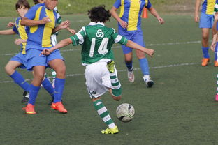 冰岛队客场惊险取得分，排名小组第六